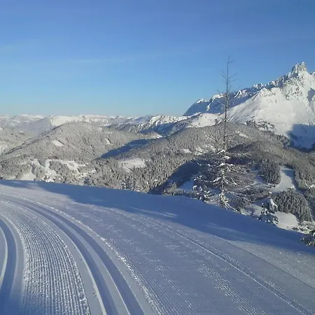 아파트 Haus Dorfblick *